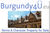 Burgundy4U, Estate Agents/Property Searching in Burgundy