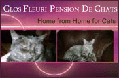 Clos Fleuri Cattery, Animals/Kennels in Aquitaine
