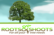 Roots & Shoots , Garden Services/Landscapers/Tree Surgeons in Aquitaine