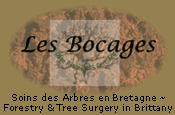 Les Bocages, Tree surgeons in Brittany