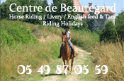 Horse Livery in Vienne