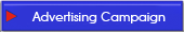advertising options