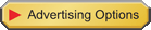 advertising options